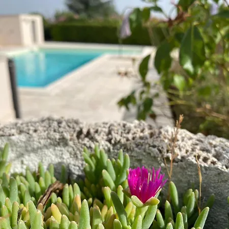 Il Geco Allegro דירה