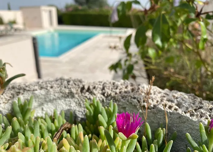 Il Geco Allegro דירה